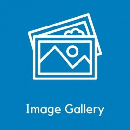 Magento 2 Image Gallery | Easily Display Images/Videos In Gallery